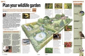 gardening_jul_08article